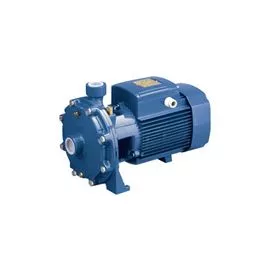 Насос Pedrollo 2CP 40/180B (452CT393BE)