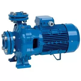 Насос Speroni CS32-200A (SPRN101800310)
