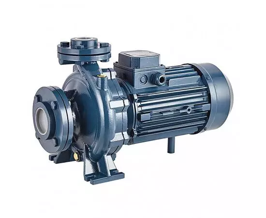 Насос PURITY PSTC 65-125/75 (N) (100588150)