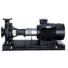 Насос LEOLEN125-80-200