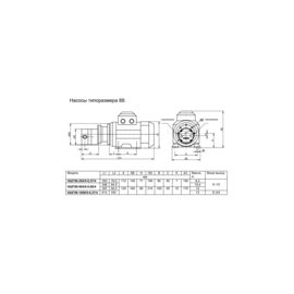 Шестеренный насос Ампика НШГ88-252/5-0,37/4 (28804)