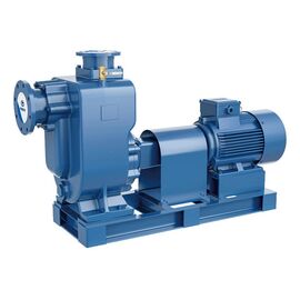 Насос PURITY PZWM 50-15-30/2 (N), 400В/50Гц (100590616)