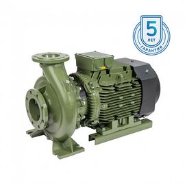 Насос SAER IR 50-250NA (100543995)
