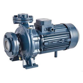 Насос PURITY PSTC 50-125/30 (N), (100588144)