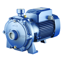 Насос Pedrollo 2CP 25/ 14B (452CT2616BA)