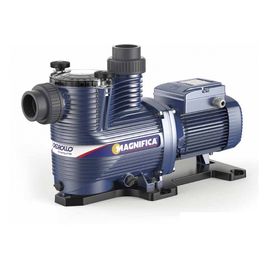 Насос Pedrollo MAGNIFICA 2m (43MA021A1)