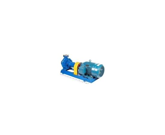 Насос для горячих масел ZY Technology WRY 65-50-160 (391140)