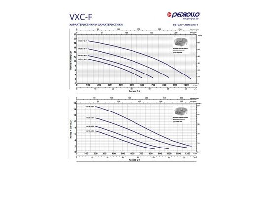 Насос Pedrollo VXC-F 30/65 (48SGY9863A), изображение 2