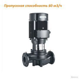 Насос PURITY PTD65-34G/2 (N), (100590577)