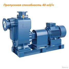 Насос PURITY PZWM 80-40-16/2, (100590620)