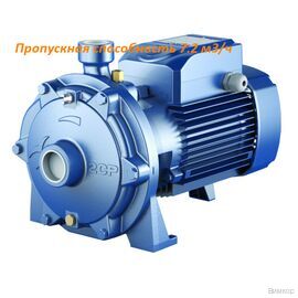 Насос Pedrollo 2CP 25/ 16C (452CT2614CA)