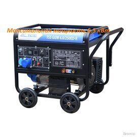 Электрогенератор сварочный ТСС GGW 6.0/250ED-R (арт. 028489)