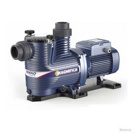 Насос Pedrollo MAGNIFICA 2m (43MA021A1)