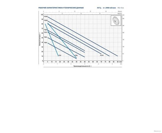 Насос Pedrollo PQm200 (41PQ927A1), изображение 2