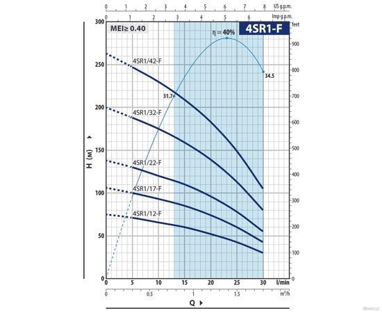 Насос Pedrollo 4SR 1m/22 F -P (49480022WLA1), изображение 2