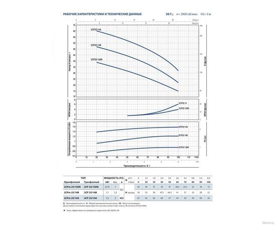 Насос Pedrollo 2CPm 25/ 16B (452CM2614BA1), изображение 3