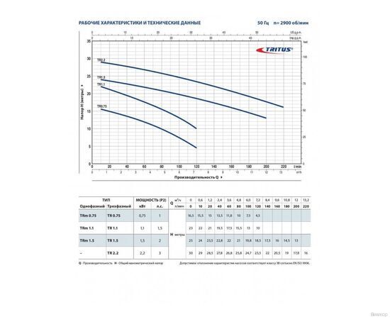 Насос Pedrollo TRITUS TR 0.75 (48SHT00A), изображение 2
