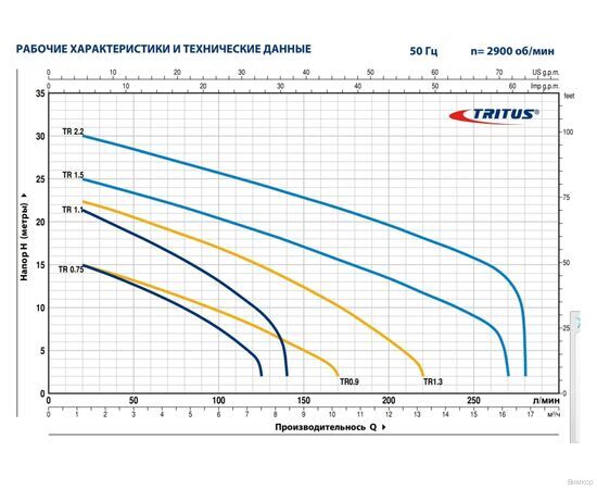 Насос Pedrollo TRITUS TRm 0.75 (48SHT00A1), изображение 2