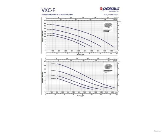 Насос Pedrollo VXC-F 40/50 (48SGY9854A), изображение 2